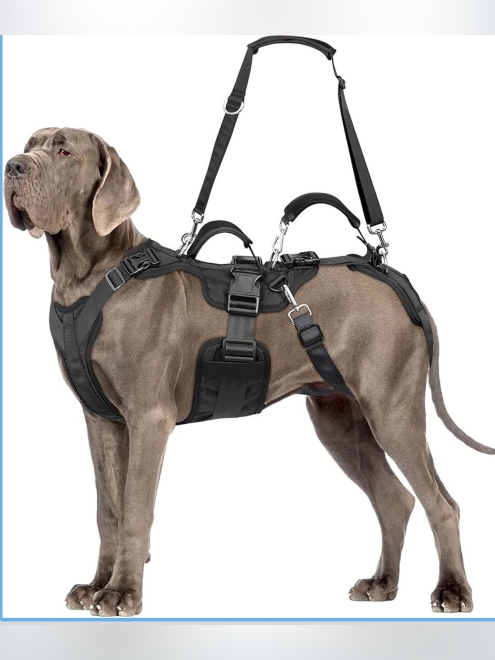 XL Dog Lift Harness, Support and Recovery Sling